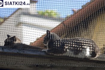 Siatki Lidzbark Warmiński - Siatka na balkony dla kota i zabezpieczenie dzieci dla terenów Lidzbarka Warmińskiego